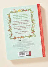 Load image into Gallery viewer, Cat Family Christmas Advent Book - littlelightcollective