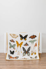 Load image into Gallery viewer, Butterfly Collector Quilt - littlelightcollective