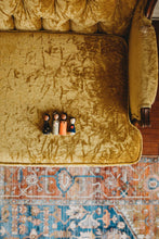 Load image into Gallery viewer, The Trailblazers II - littlelightcollective