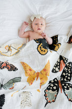 Load image into Gallery viewer, Pre - Order Butterfly Collector Swaddle - littlelightcollective