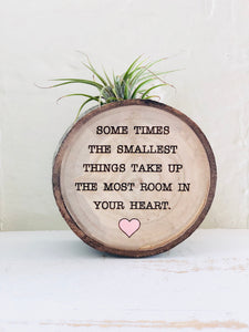 The Smallest Things - Medium Wood Round (Air Plant Magnet) - littlelightcollective