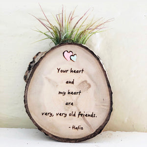 Old Friends Medium Wood Round (Air Plant Magnet or Photo Holder) - littlelightcollective