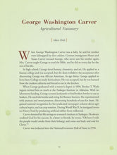 Load image into Gallery viewer, Brave Heroes and Bold Defenders: 50 True Stories of Daring Men of God Book - littlelightcollective