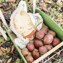 Load image into Gallery viewer, Penny is Bored | Book & Toy All-in-One - littlelightcollective