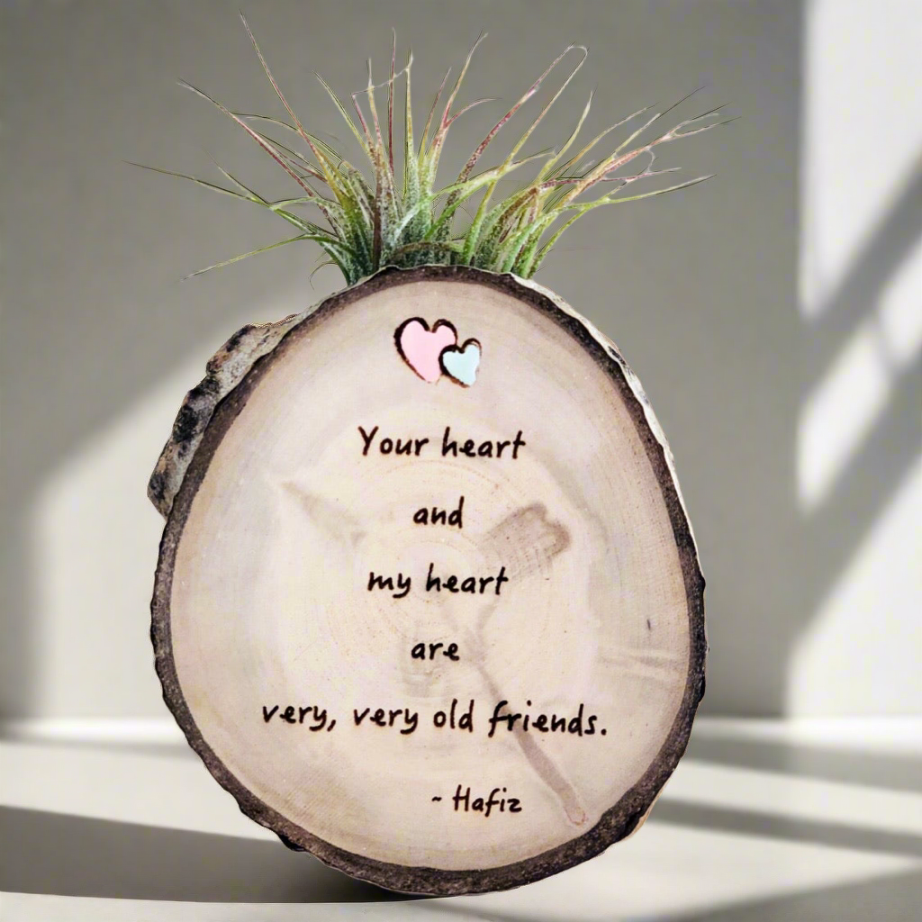 circle air plant magnet Old Friends Medium Wood Round (Air Plant Magnet or Photo Holder)