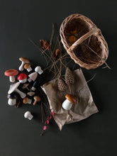 Load image into Gallery viewer, Forest Mushrooms Basket - littlelightcollective