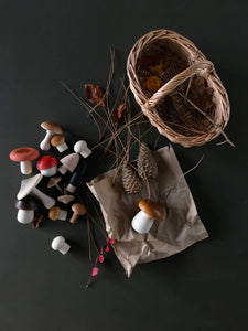 Forest Mushrooms Basket - littlelightcollective