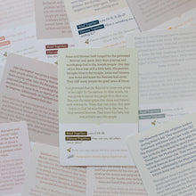 Load image into Gallery viewer, People of the New Testament Card Set  - littlelightcollective