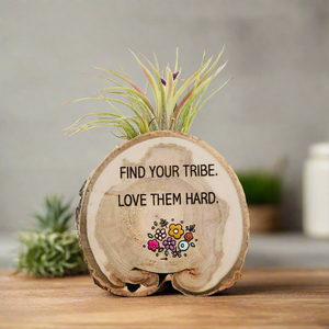 Find Your Tribe Medium Wood Round Magnet (Air Plant Magnet) - littlelightcollective