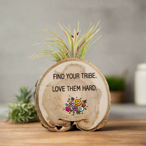 pineapple air plant magnet Find Your Tribe Medium Wood Round Magnet (Air Plant Magnet)– littlelightcollective