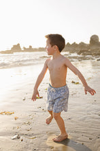 Load image into Gallery viewer, Sardine Swim Shorts