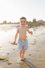 Load image into Gallery viewer, Light Blue Gingham Swim Shorts