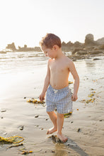 Load image into Gallery viewer, Light Blue Gingham Swim Shorts