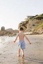 Load image into Gallery viewer, Light Blue Gingham Swim Shorts