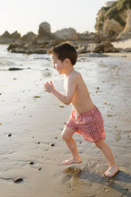 Load image into Gallery viewer, Gingham Swim Shorts