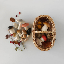 Load image into Gallery viewer, Forest Mushrooms Basket