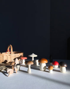 Forest Mushrooms Basket - littlelightcollective