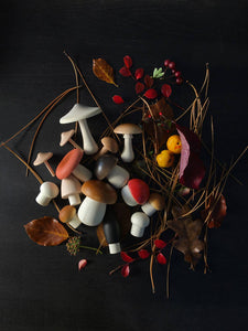 Forest Mushrooms Basket - littlelightcollective