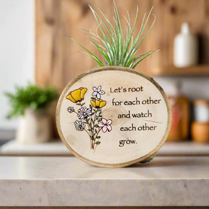 Let’s Root For Each Other Medium Wood Round (Air Plant Magnet) - littlelightcollective