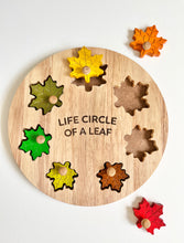 Load image into Gallery viewer, Leaf Circle Of Life Puzzle - littlelightcollective