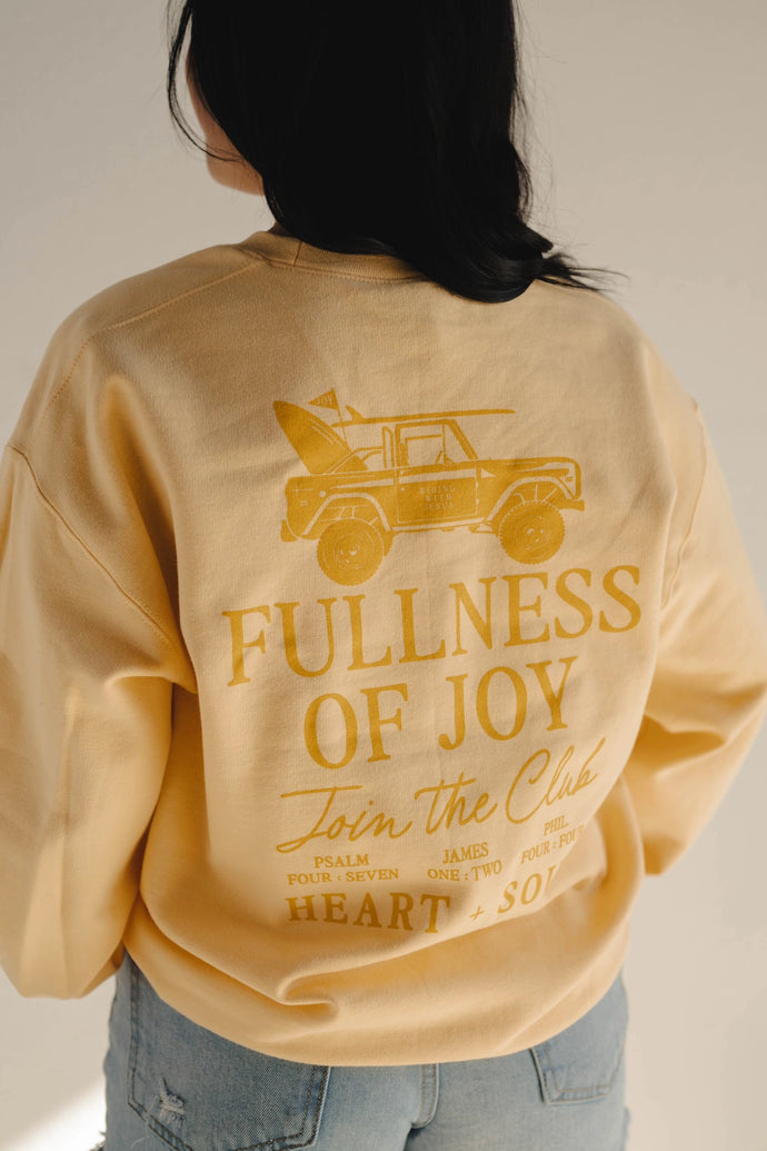Choose Joy Christian Pullover Swearshirt - littlelightcollective
