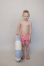 Load image into Gallery viewer, Gingham Swim Shorts