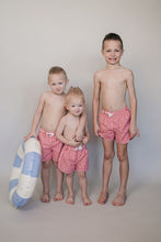 Load image into Gallery viewer, Gingham Swim Shorts