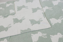 Load image into Gallery viewer, Bunny Plush Blanket - littlelightcollective