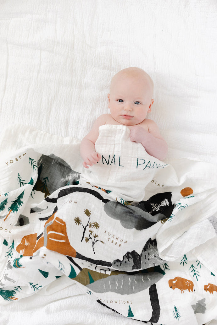 National Parks Swaddle - littlelightcollective