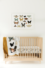 Load image into Gallery viewer, Butterfly Collector Quilt - littlelightcollective