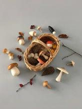 Load image into Gallery viewer, Forest Mushrooms Basket - littlelightcollective
