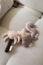 Load image into Gallery viewer, Seashell Rattle - littlelightcollective