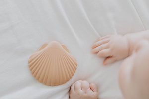 Silicone Teether - Clay Seashell - littlelightcollective