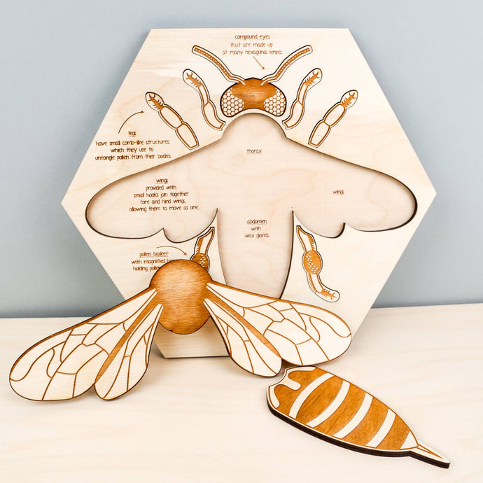 Bee Anatomy Wooden Puzzle by Stuka Puka - littlelightcollective