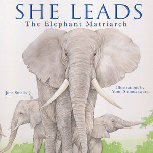 She Leads: The Elephant Matriarch - littlelightcollective