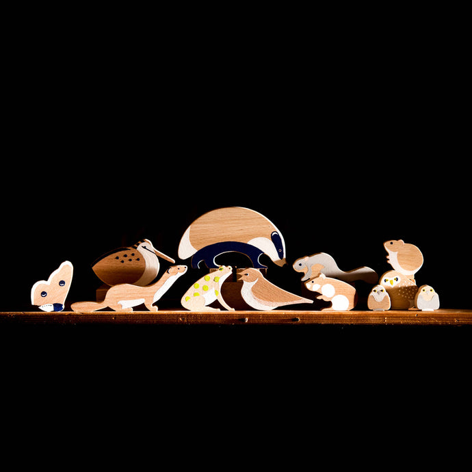 Play at Night - Nocturnal Animals Set - littlelightcollective