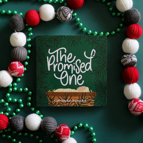 The Promised One - Board Book - littlelightcollective