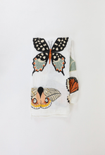 Load image into Gallery viewer, Pre - Order Butterfly Collector Swaddle - littlelightcollective