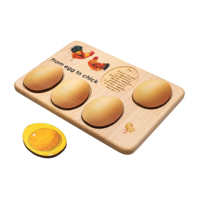 Chicken development wooden puzzle - littlelightcollective