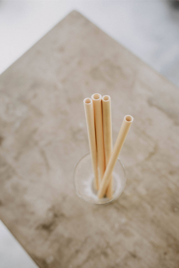 Village Thrive - Sustainable Bamboo Straws With Cleaner - littlelightcollective