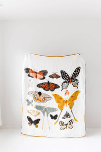 Pre-Order - Large Butterfly Collector Throw Blanket - littlelightcollective