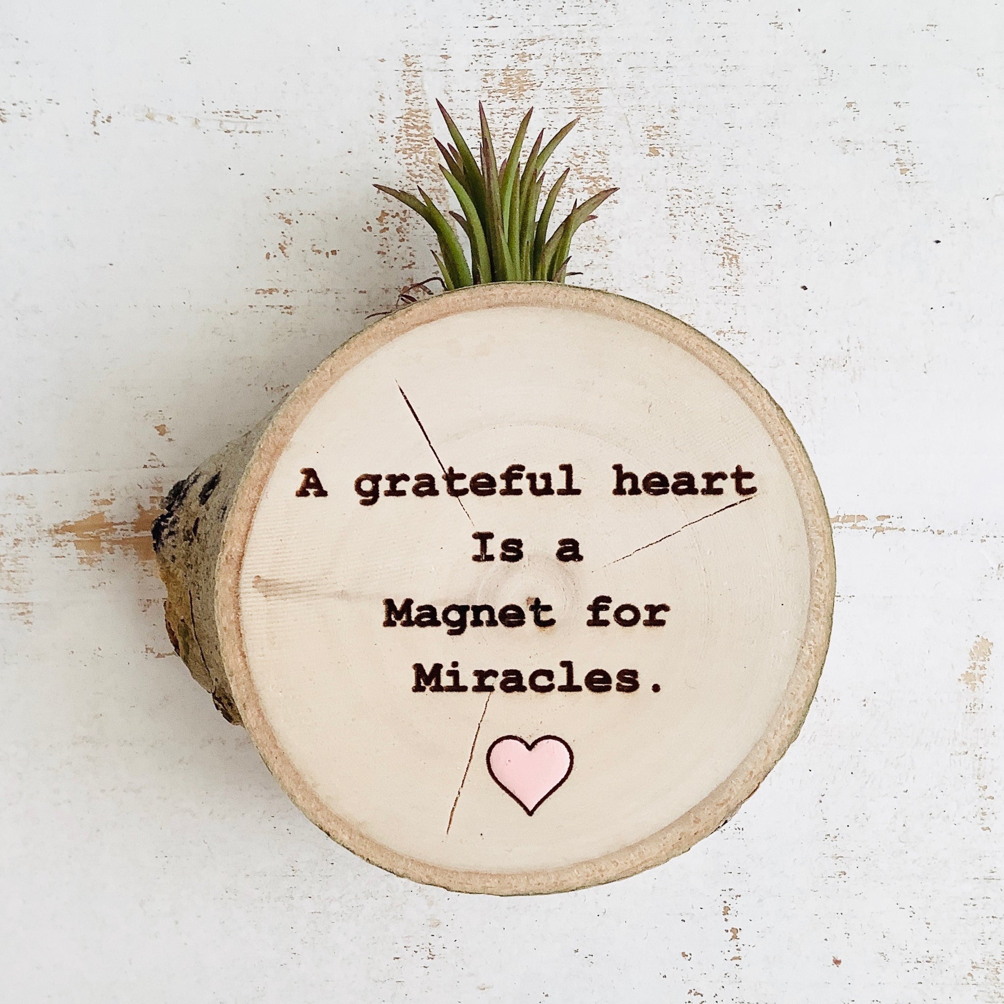 air plant quotes A Grateful Heart-Medium Wood Round (Air Plant Magnet or Photo Holder)– littlelightcollective
