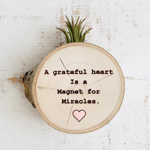 A Grateful Heart-Medium Wood Round (Air Plant Magnet or Photo Holder) - littlelightcollective
