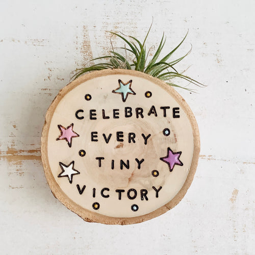 Celebrate Every Tiny Victory-Small Wood Round (Air Plant Magnet ) - littlelightcollective