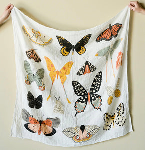 Butterfly Collector Swaddle - littlelightcollective