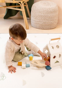 Pre-Order Wooden Shapes Sorting House - littlelightcollective