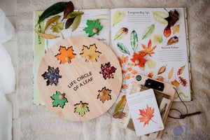 Leaf Circle Of Life Puzzle - littlelightcollective