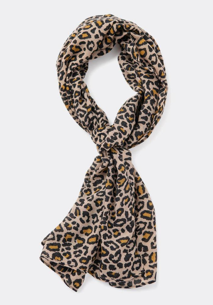 O/S Athens Scarf - littlelightcollective