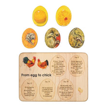 Load image into Gallery viewer, Chicken development wooden puzzle - littlelightcollective