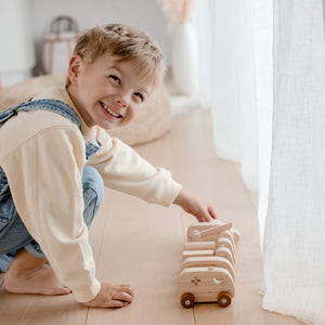 Vehicle Play set - littlelightcollective